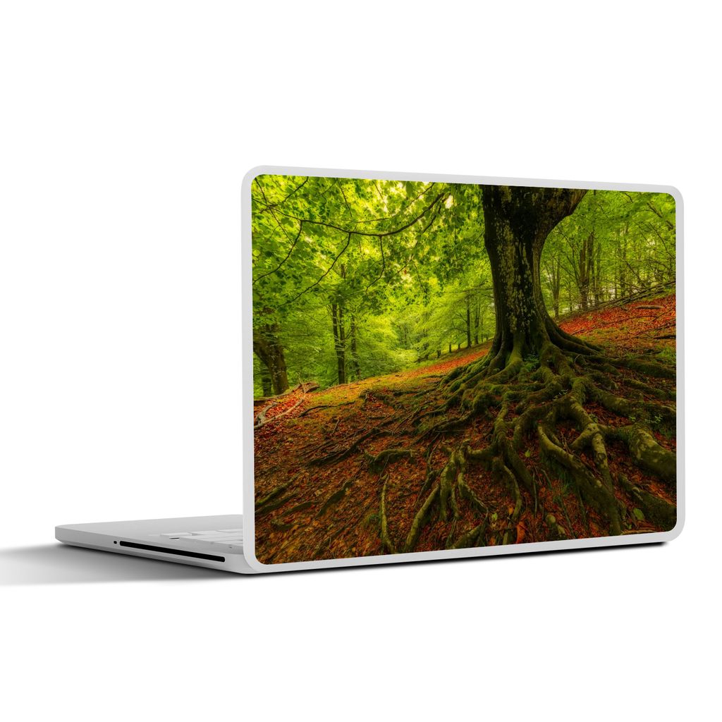 MuchoWow Laptop Aufkleber Sticker Cover Baum - Wald - Herbstblätter 40x30 cm - Laptop Dekoration - Selbstklebend