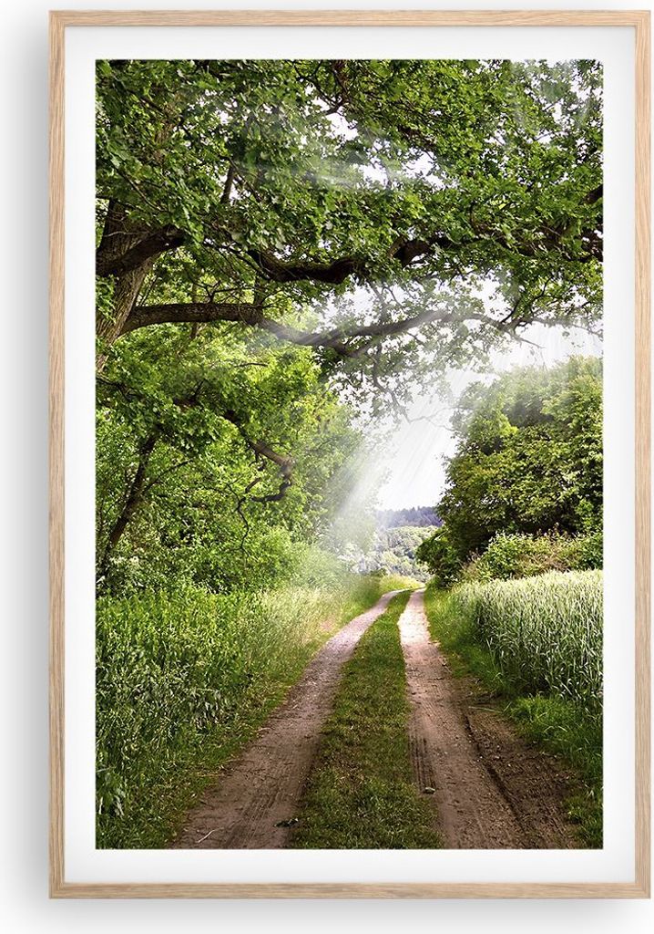 Gerahmtes Poster - Rahmen in heller Eiche - Pfad Natur Wald Grün - 61x91,5 cm - Wand Bild - Wanddeko - Wandbilder - Wandposter - Bilderrahmen - Bi...