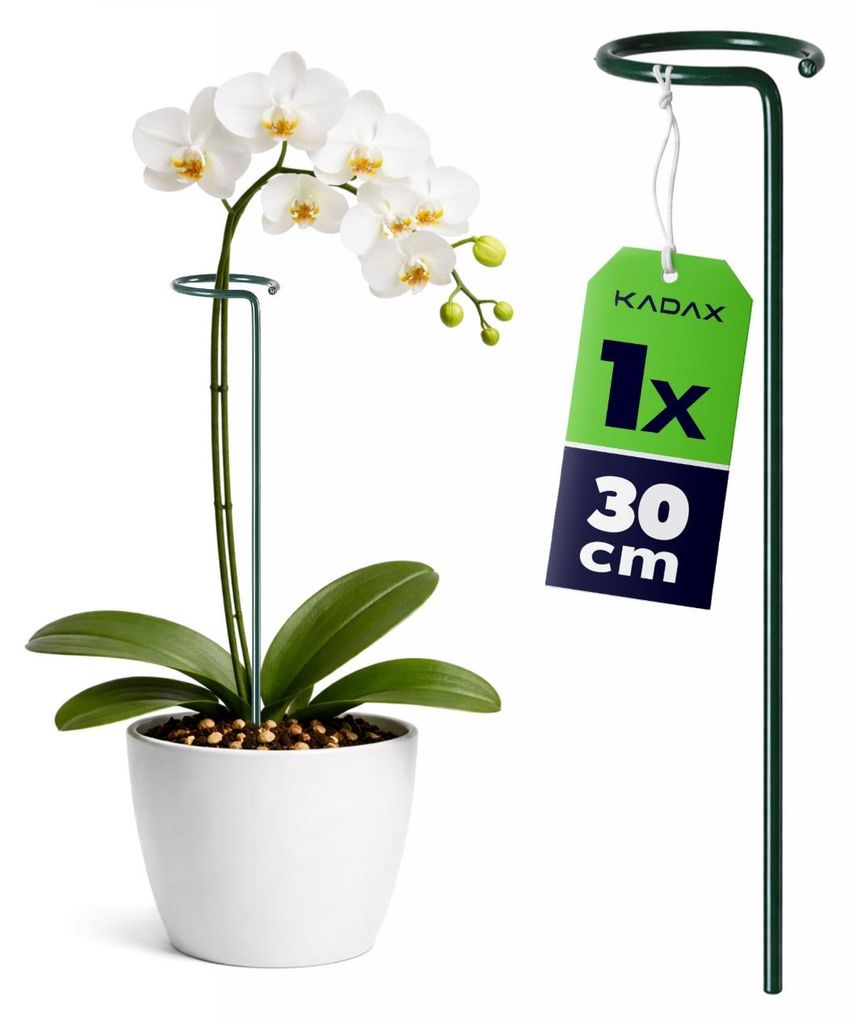 KADAX Supporto per fiori 30 cm, 1 pezzo, supporto per Immagine del prodotto 
