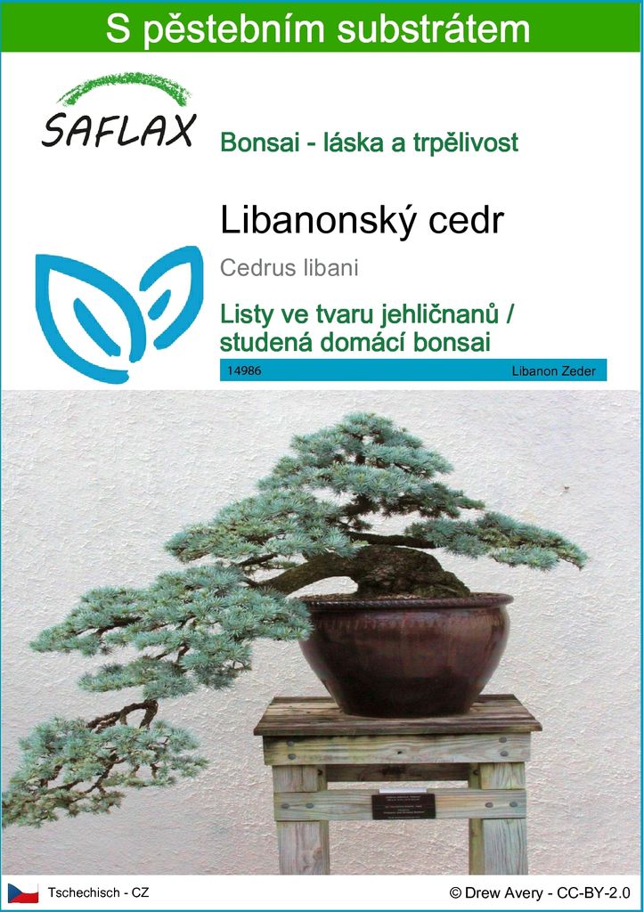 SAFLAX - Libanonský cedr - Cedrus libani - 20 Semena - S Obrázek produktu 