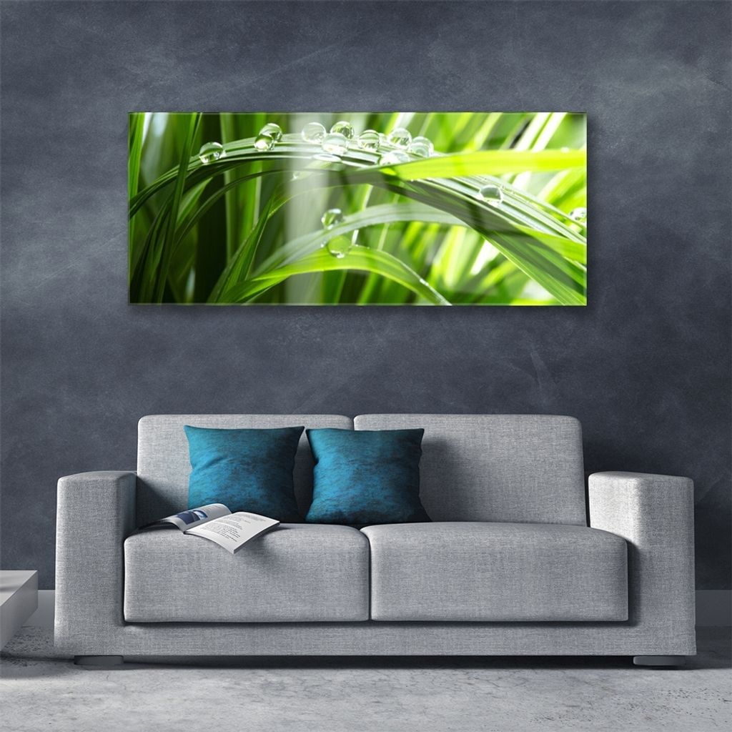 Acrylglasbilder 125x50 Wandbild Druck Gras Tautropfen Pflanzen