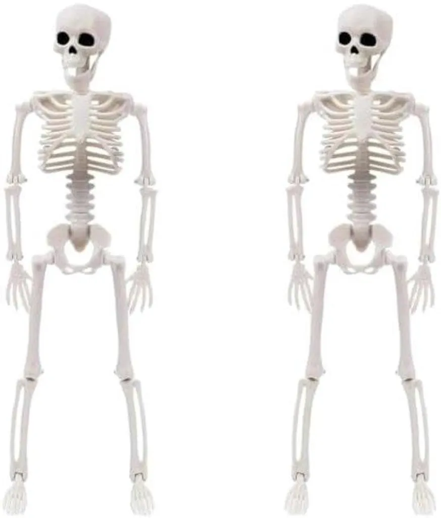 Kit décoration Halloween squelette articulé de 165cm pour extérieur