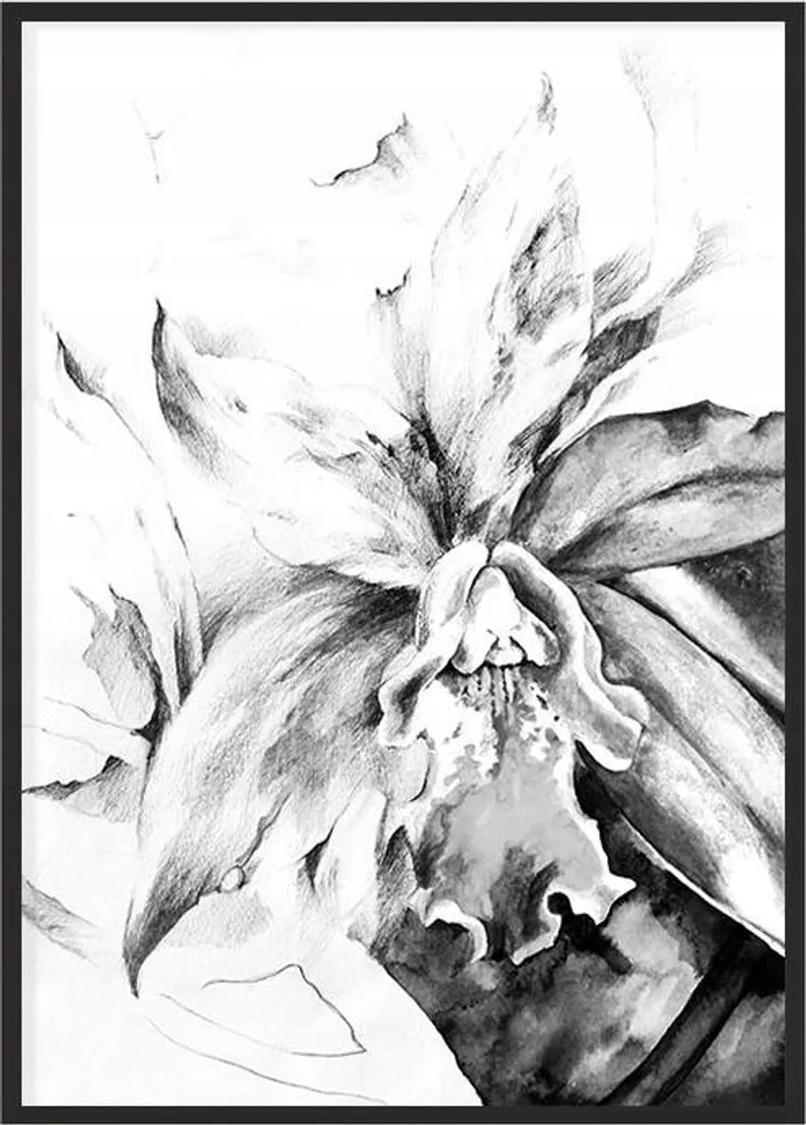 Décoration Murale Fleur P1099 Poster avec Cadre 53x73 cm pour Chambre