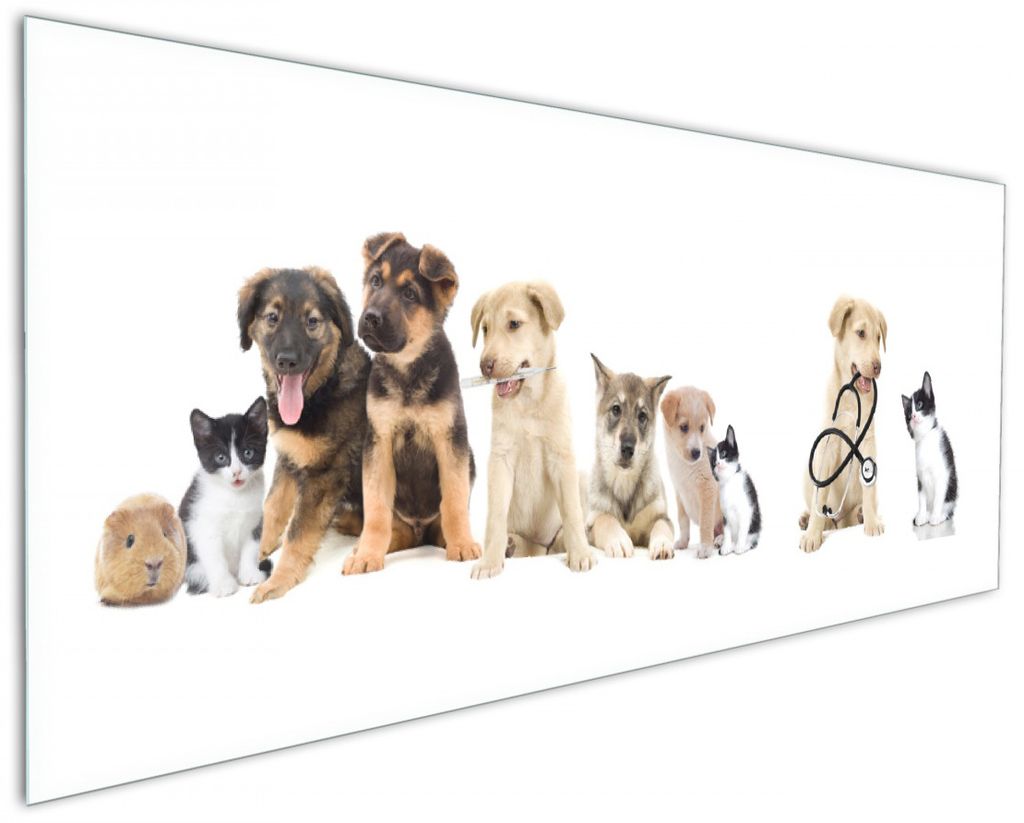 Wallario Küchenrückwand aus Glas, Größe: 125 x 50 cm, Motiv: Süße Haustiere - Katzen Hunde Hamster Küken I | Spritzschutz | abwischbar | pfl...