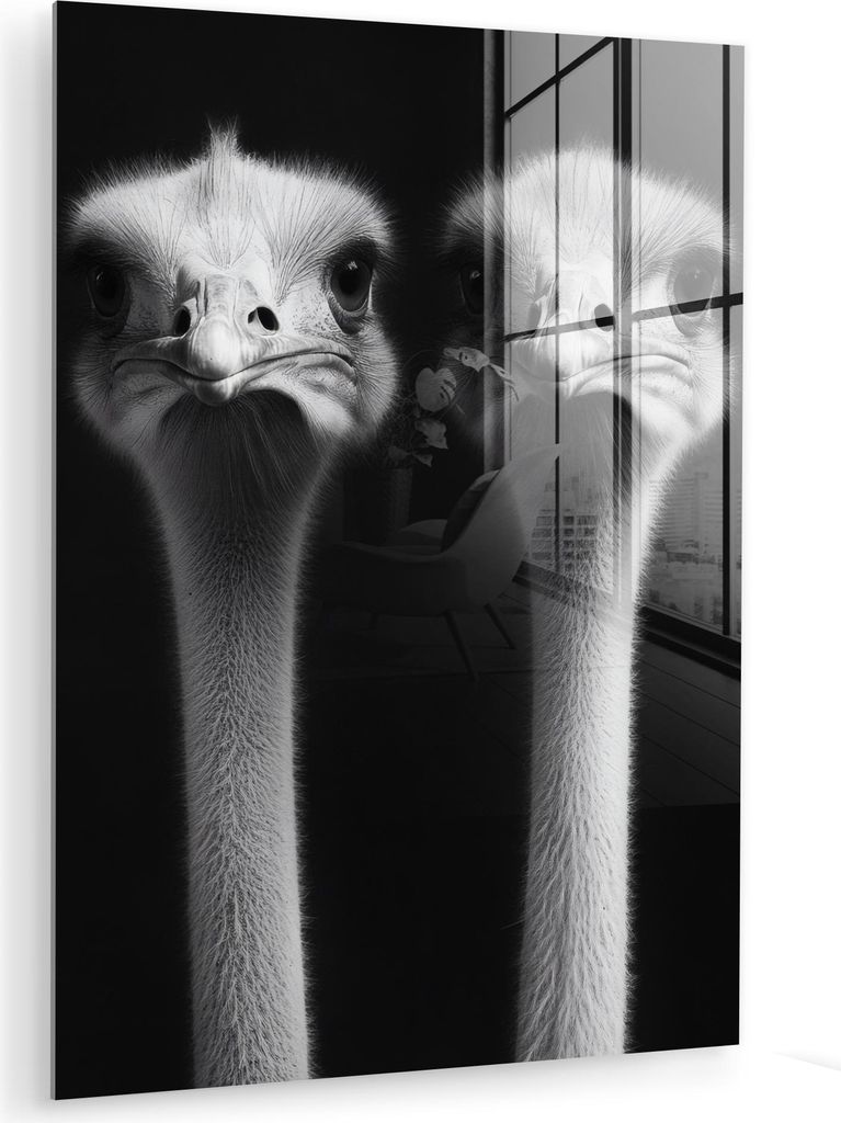 MuchoWow Glasbilder - Bilder auf Wandbild - Foto auf Glas Strauße - Hälse - Schwarz - Minimalistisch 30x40 cm Wanddekoration aus Glas - Acrylglas...