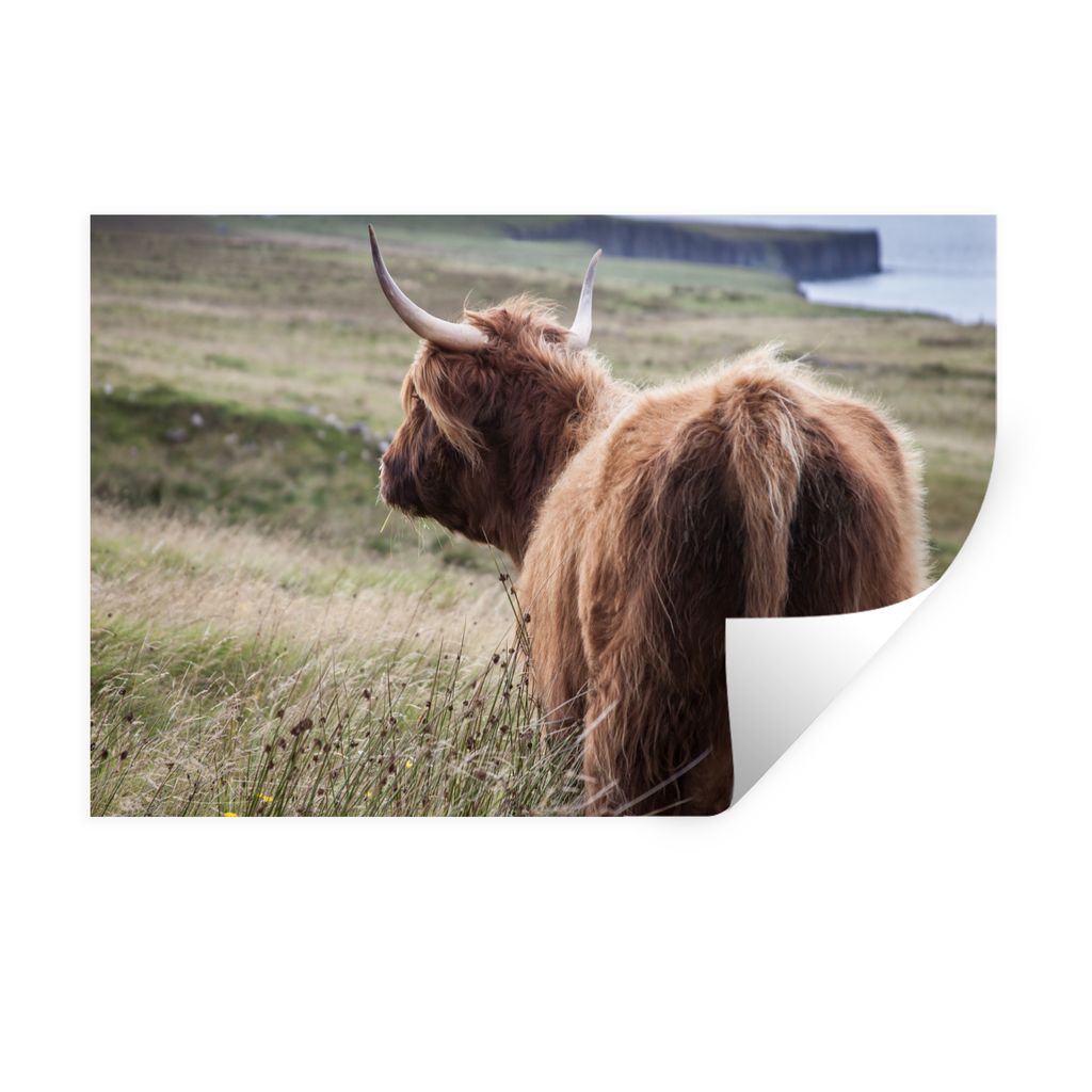 MuchoWow Wandtattoo Wandsticker Wandaufkleber Schottische Highlander - Natur - Meer 120x80 cm Selbstklebend und Repositionierbar - Selbstklebend ...