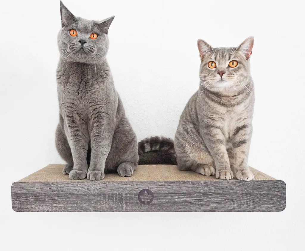 Analisi Tiragraffi Parete CLOUD Canadian Cat Grigio Scuro 70x30x8cm