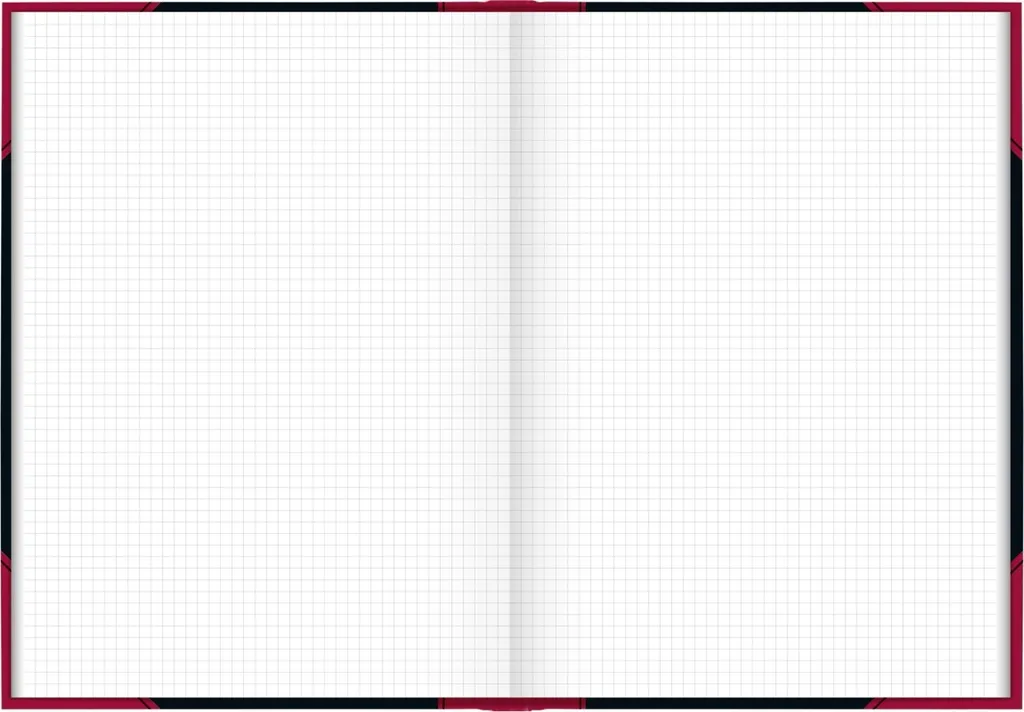 Chinabuch A4 Quadrillé 96 Feuilles à Couverture Rigide Résistante - 2