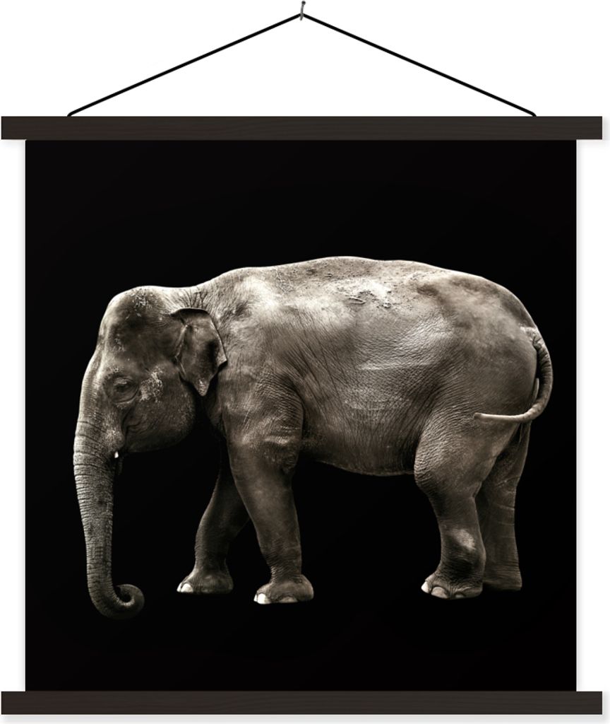 MuchoWow Textilposter Elefant - Wilde Tiere - Schwarz 40x40 cm mit schwarzem Rahmen - Fotos