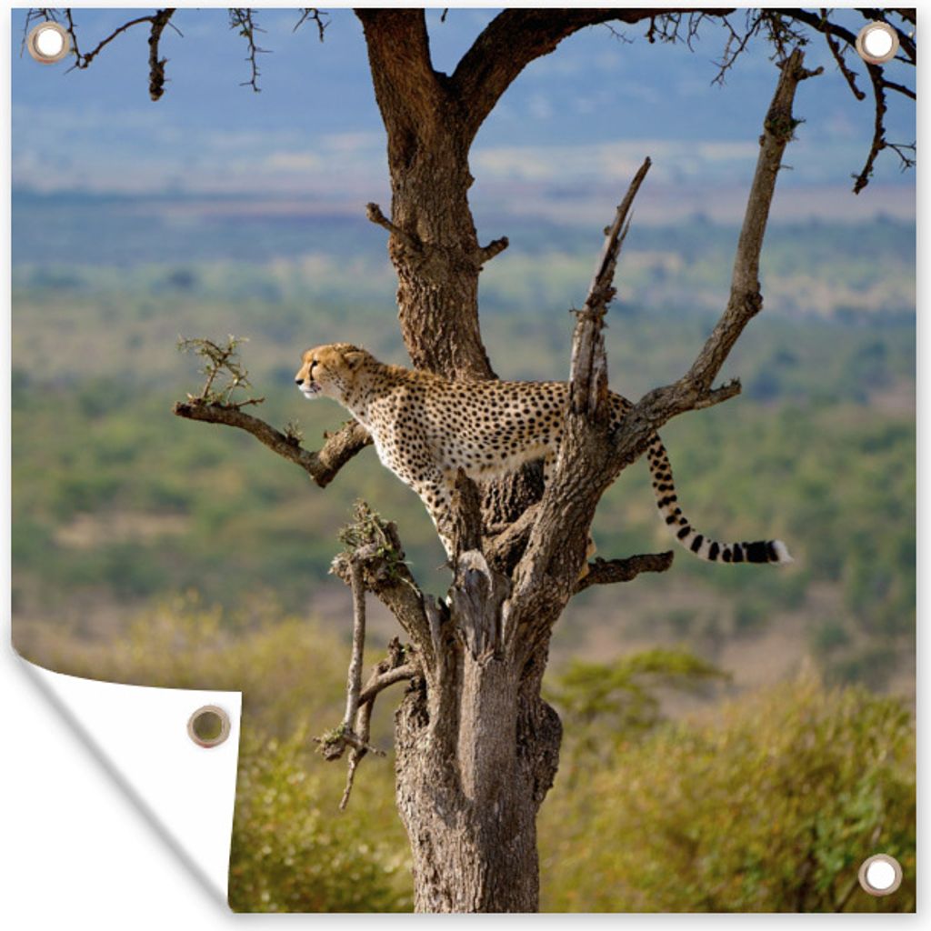 MuchoWow 100x100 cm Outdoor-Poster Gartendeko Sichtschutz Garten Poster für den Garten Leopard - Baum - Tier