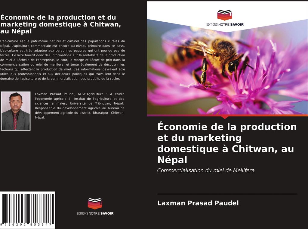 Économie de la production et du marketing domestique à Chitwan, au Népal