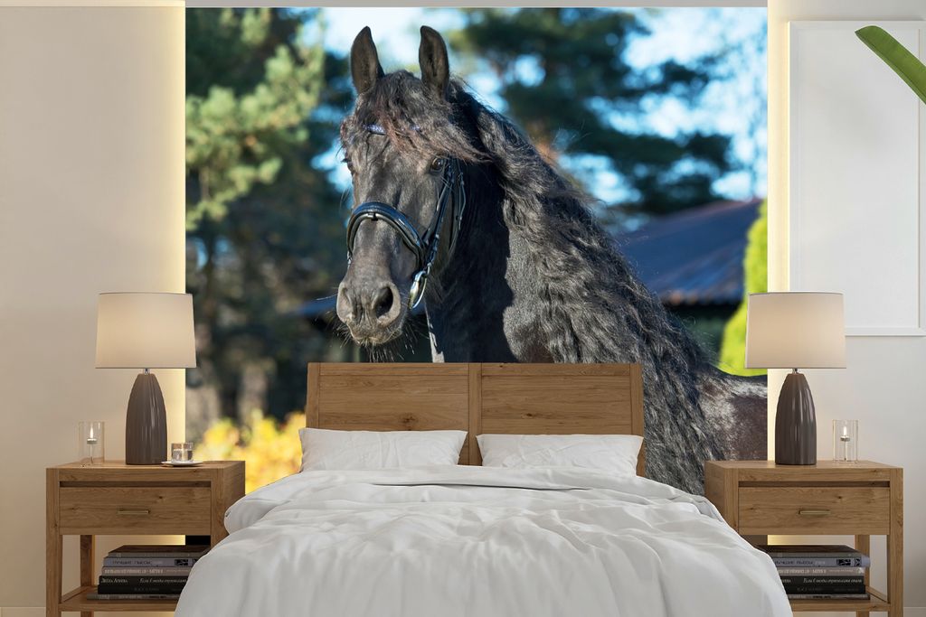 MuchoWow Fototapete für Wohnzimmer oder Schlafzimmer Wandtapete Vinyl Motivtapete Sonne - Friesisch - Pferd - 280x280 cm - Hintergrundbild