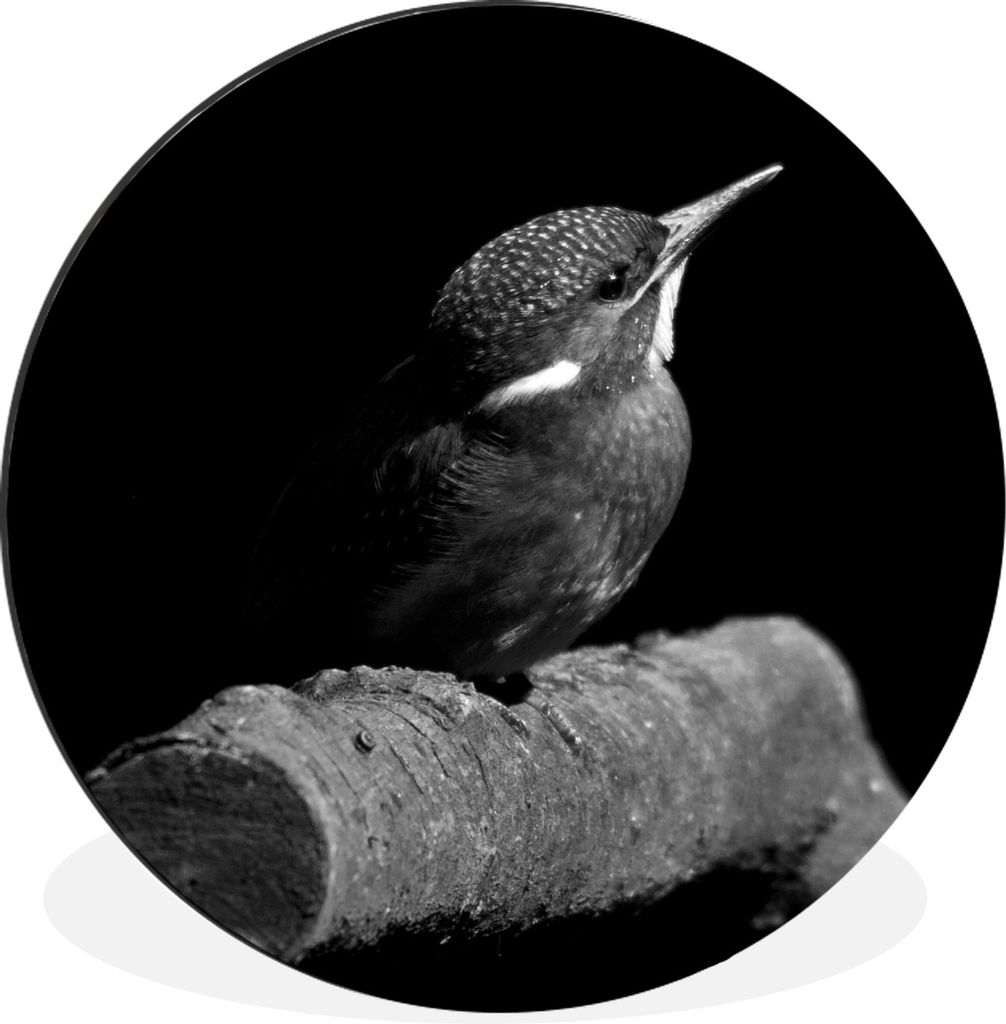 MuchoWow Aluminium Wandkreis Eisvogel - Federn - Vogel - Schwarz und weiß Ø 60 cm Wanddeko Modern Wohnzimmer - Wand Kreis - Wandbild - Schlafzi...