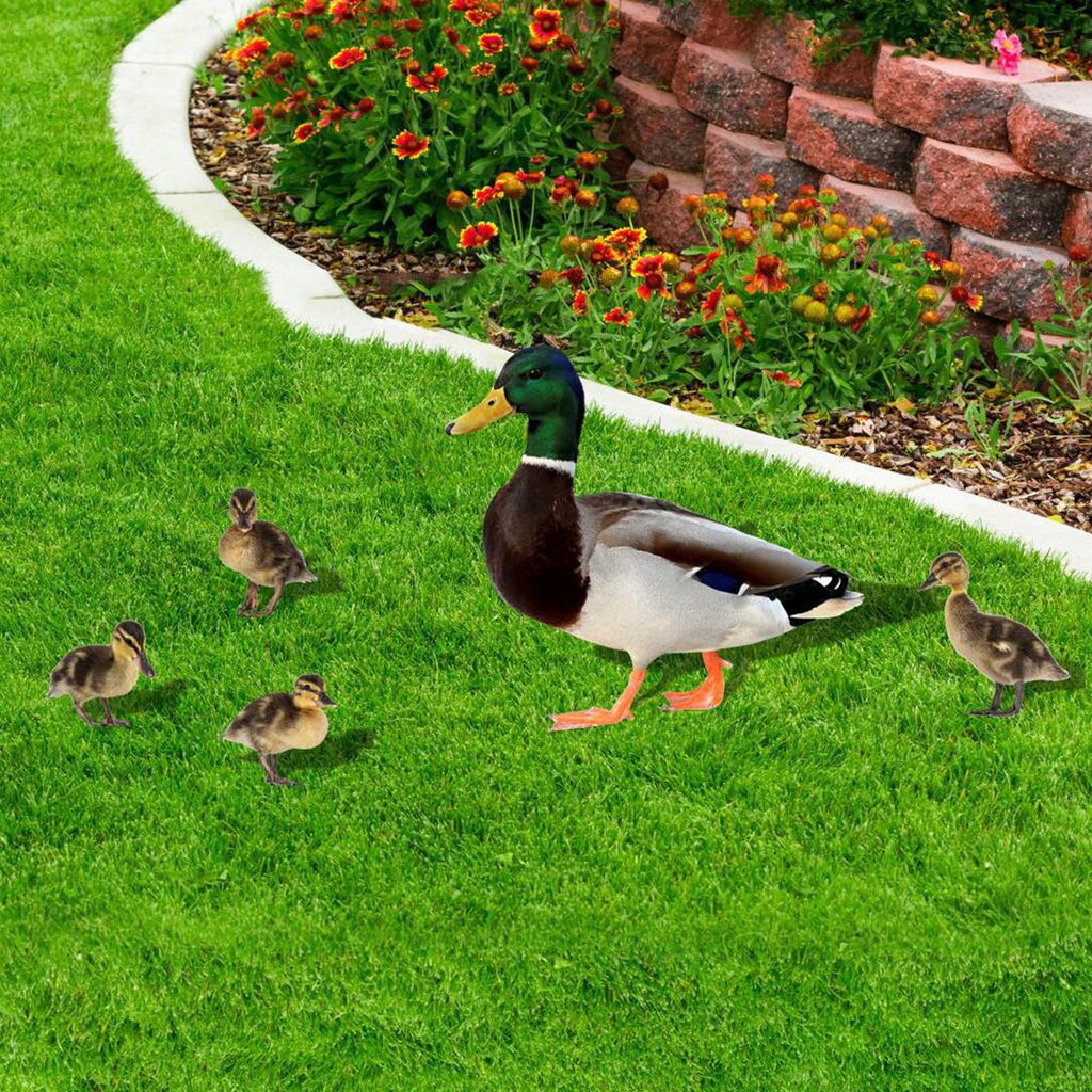 5pcs/Set Garden Duck Stakes Dreidimensionale doppelseitige Gartenschild Simulation niedliche Entleinungen Kunst Tierfigur Acryl Geflügeltiereinsä...