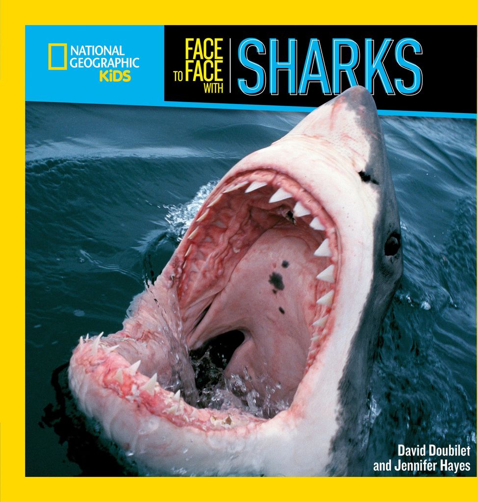 Face to Face with Sharks