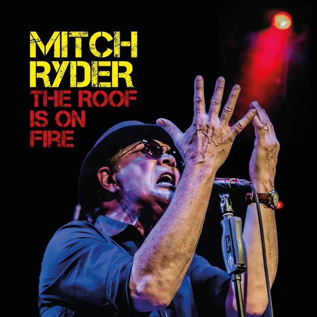 LP vinyle Mitch Ryder pour platine hi-fi album rock The Roof Is On Fire