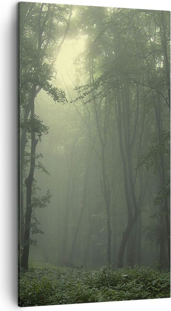 Bild auf Leinwand - Leinwandbild - Wald Nebel Baum - Produktbild 