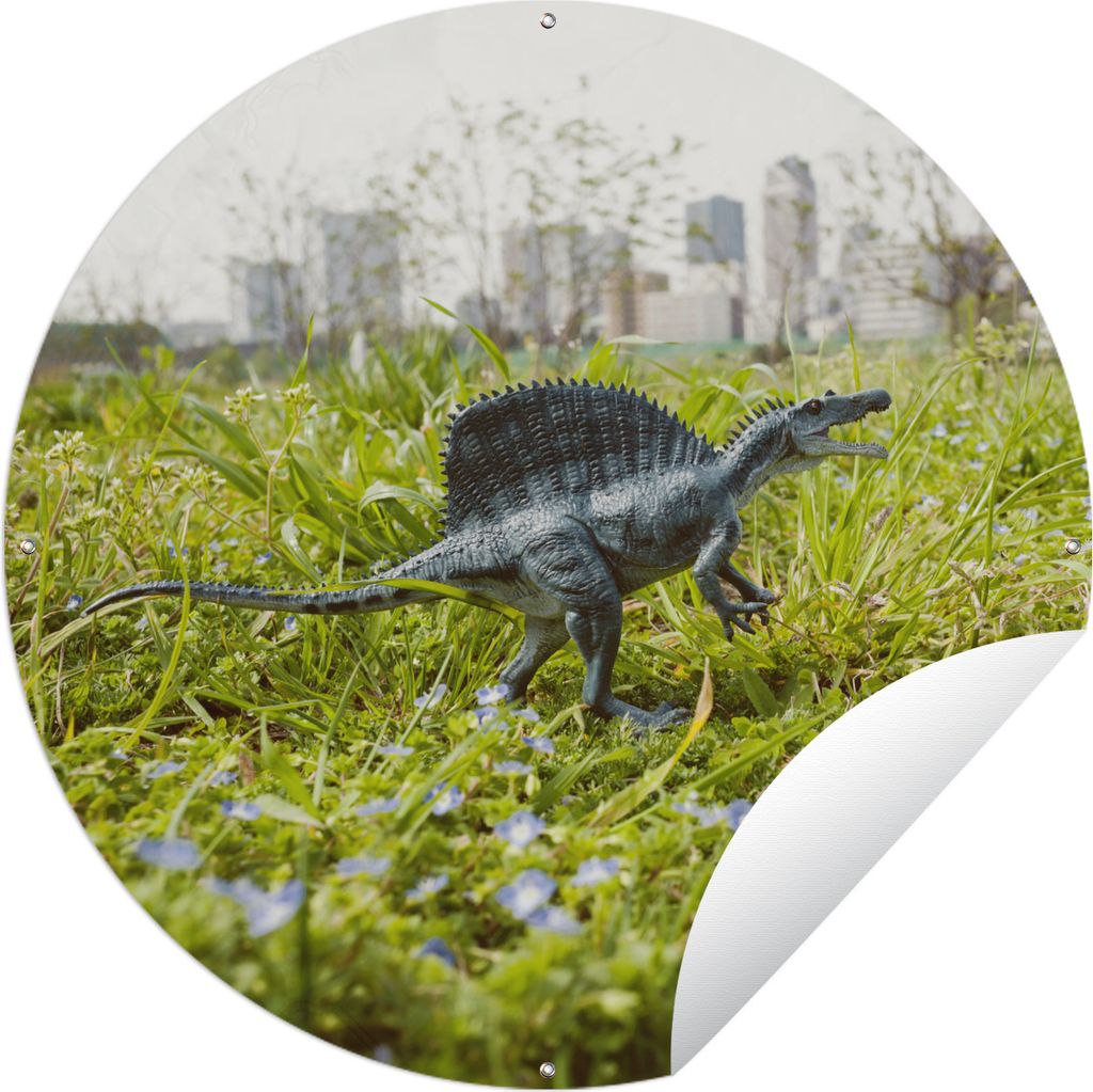 MuchoWow Gartenposter Outdoor-Poster Rund Dinosaurier - Gras - Klein Ø 120 cm Gartendeko Rundes Poster draußen