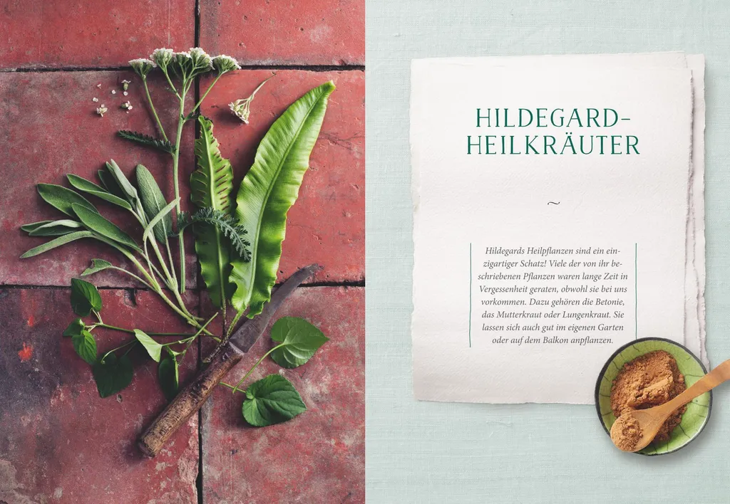 Le Savoir Guérisseur de Hildegard von Bingen : Guide de Santé Naturelle