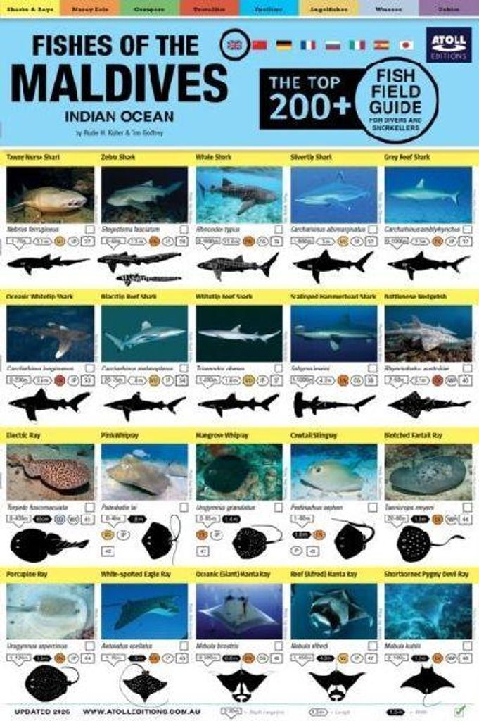Maldives Fish Field Guide "Top 200+" Produktbild 