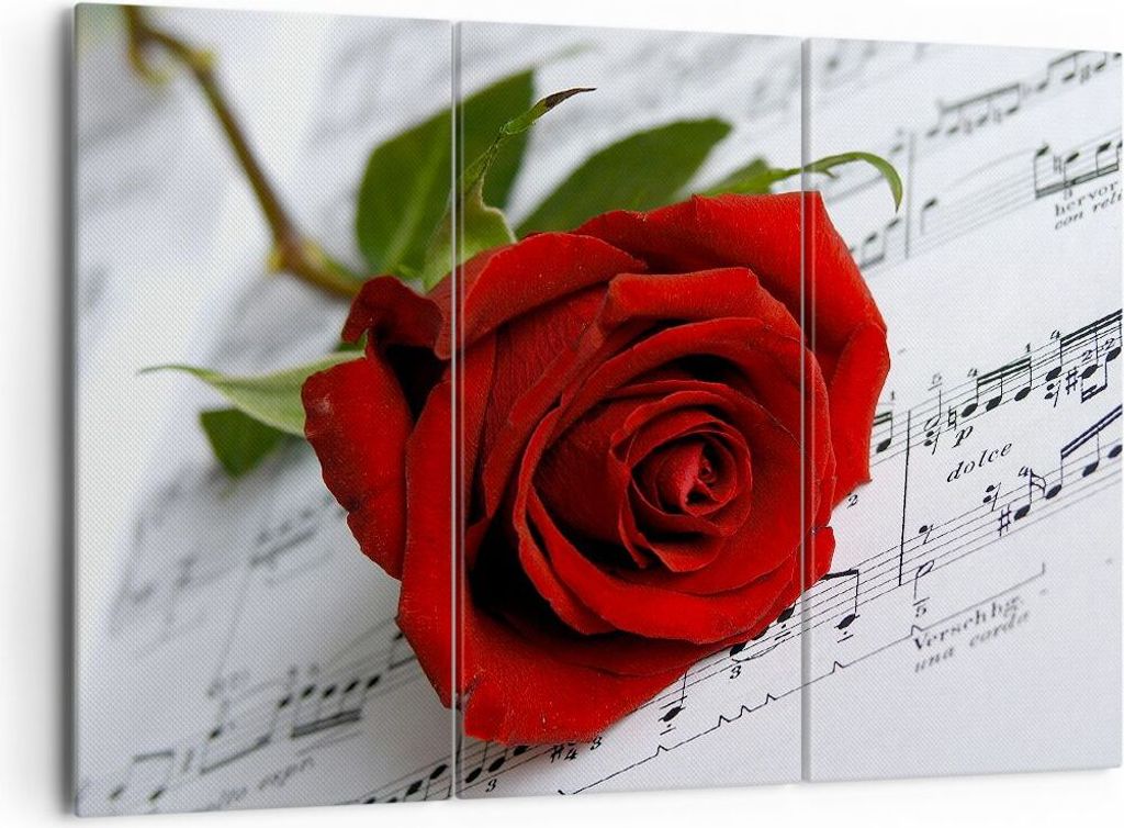 Bild auf Leinwand - Leinwandbild - Musik Rose Dekoration romantisch - 165x110cm - Wand Bild - Wanddeko - Leinwanddruck - Bilder - Kunstdruck - Lein...