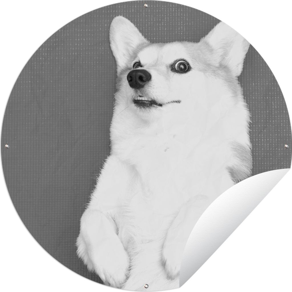 MuchoWow Gartenposter Outdoor-Poster Rund Corgi auf einer Yogamatte - schwarz und weiß Ø 60 cm Gartendeko Rundes Poster draußen