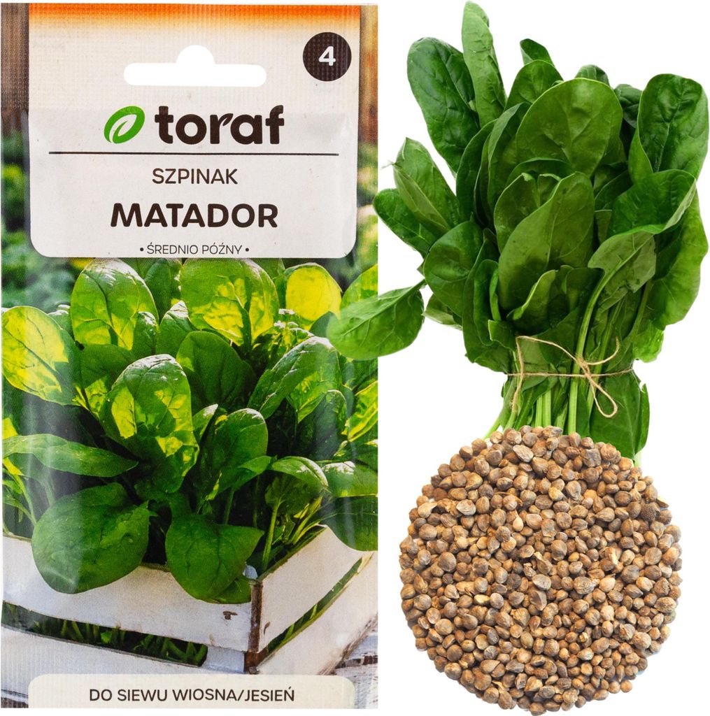 W1236 Szpinak Matador Nasiona Warzyw Szpinaku Ciemnozielony Zdjęcie produktu 
