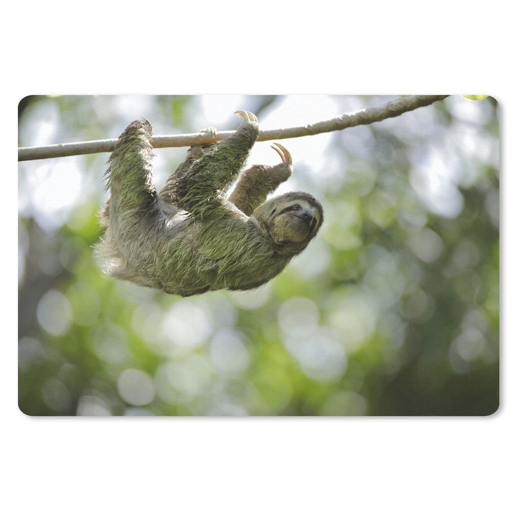 MuchoWow Mauspad Mousepad Ein Faultier hängt in den Bäumen 27x18 cm - Mousepads - Maus Mat - Pad - Mausunterlage - Büroartikel - Desk Matten
