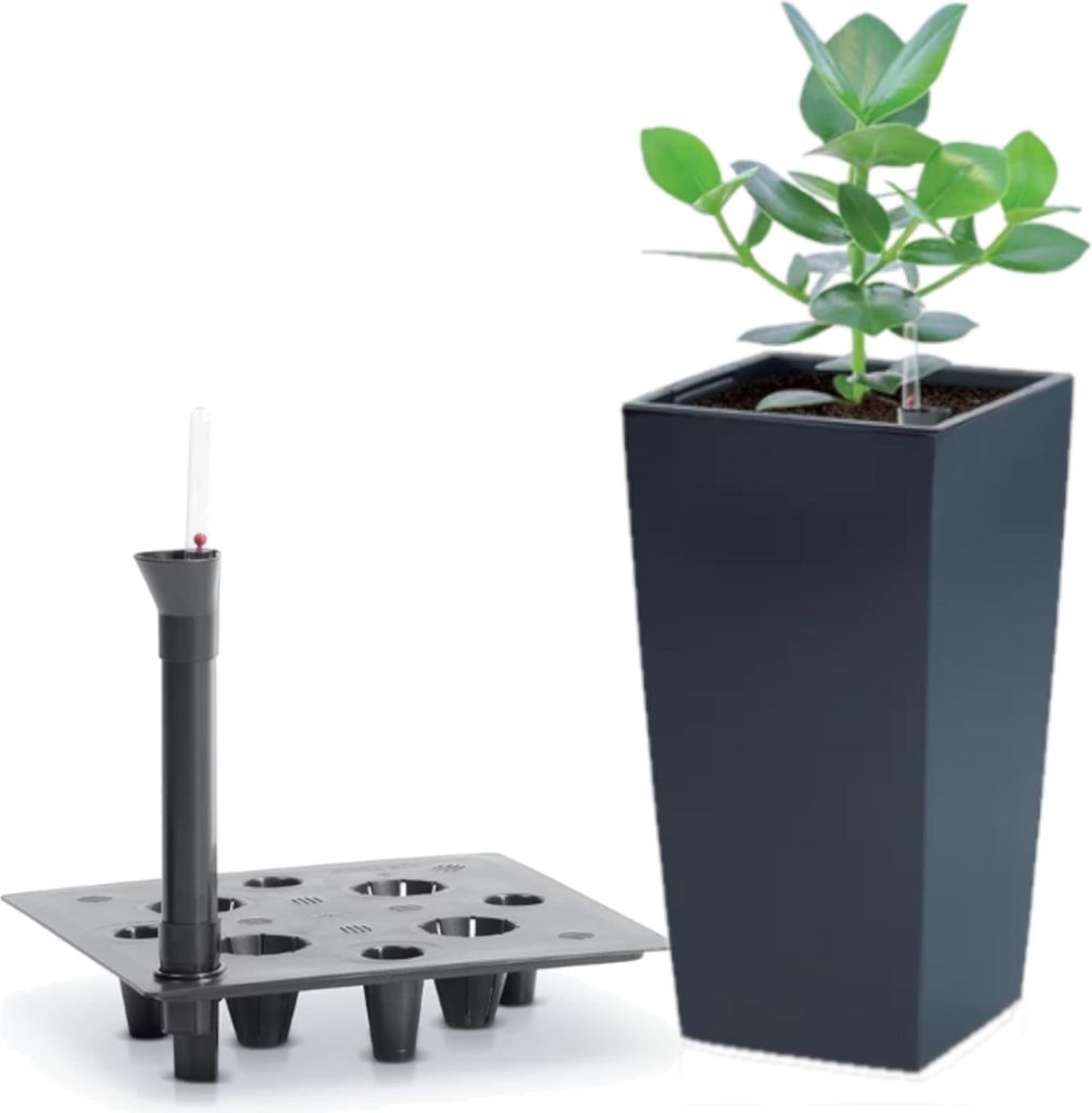 prosperplast blumenkasten Prosperplast Boardee Fencycase Blumenkasten Balkonkasten Blumentopf Pf –  Euroelectronics DE main image 1