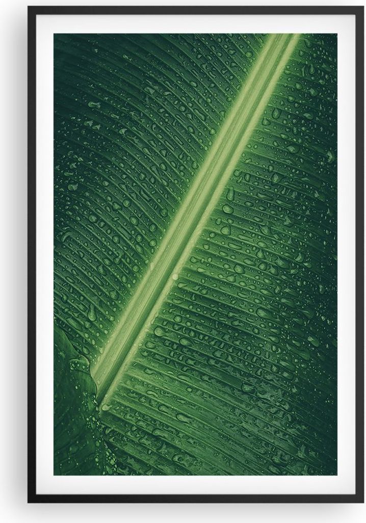 Gerahmtes Poster - Schwarzer Rahmen - Makro Blatt Tropfen - 61x91,5 cm - Wand Bild - Wanddeko - Wandbilder - Kunstposter - Wandposter - Bilderrahme...