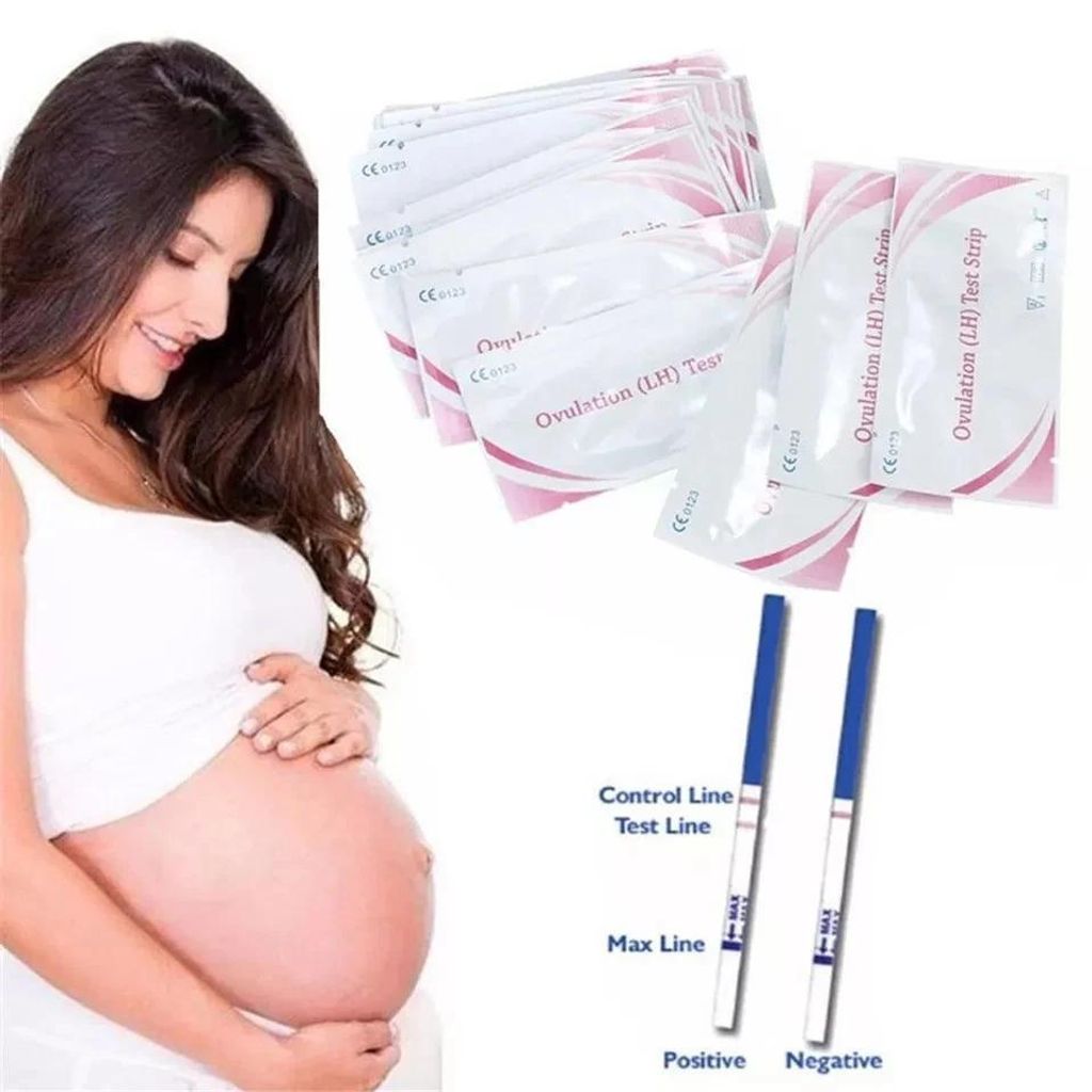 10 Stück Lh Ovulationsteststreifen Eisprung Urin Teststreifen Lh Tests Streifen Kit Erste