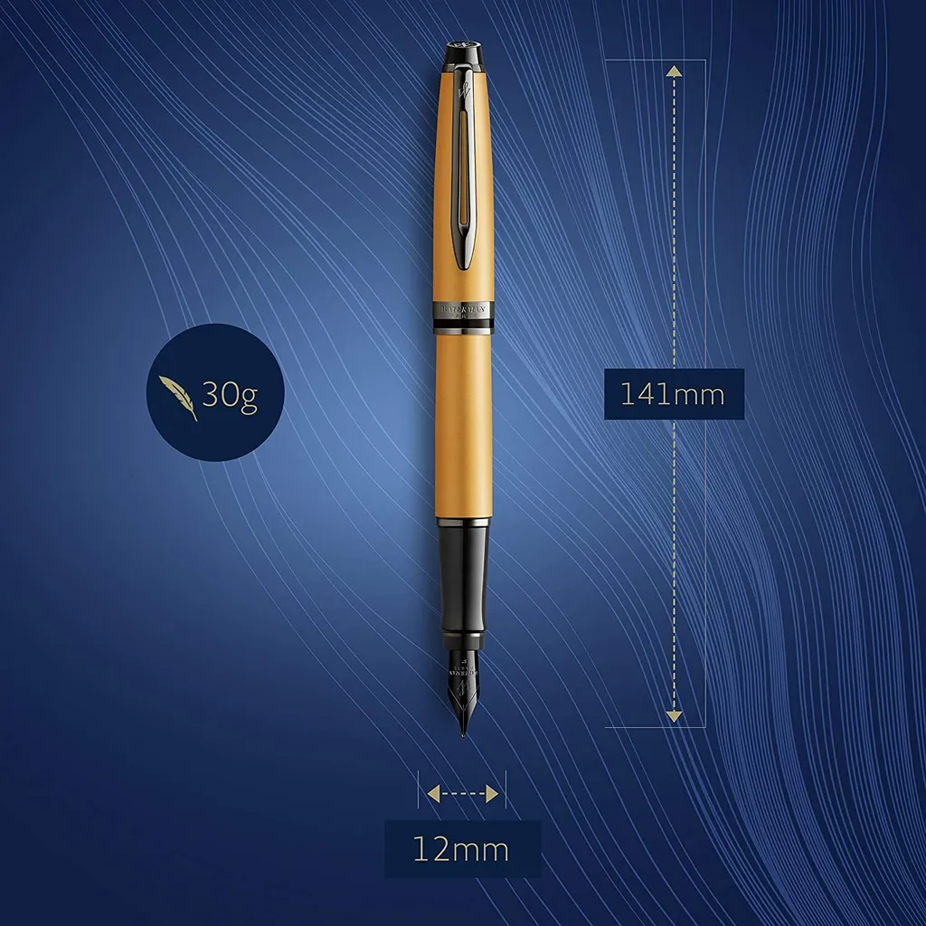 Stylo Plume 2119258 Waterman Expert Or Métallique et Attributs Ruthénium