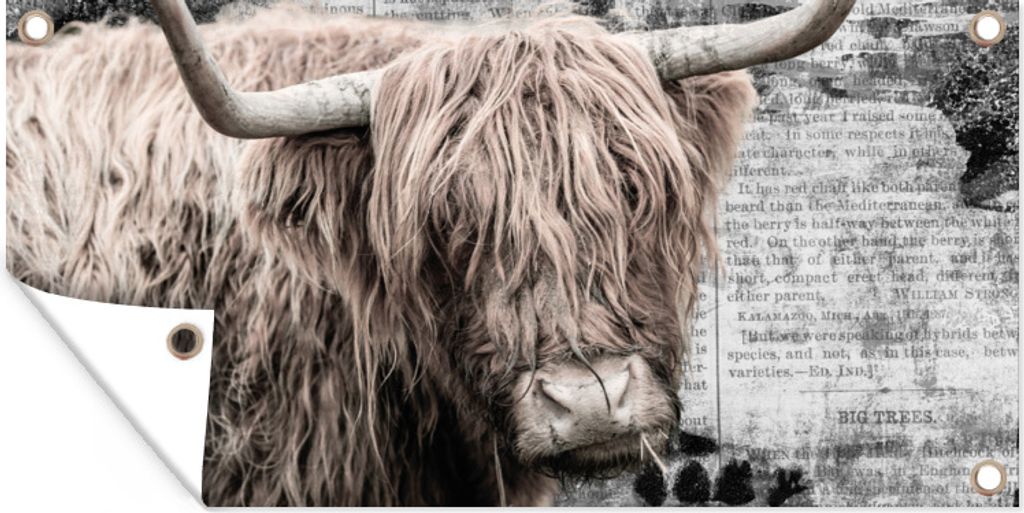 MuchoWow 60x30 cm Outdoor-Poster Gartendeko Sichtschutz Garten Poster für den Garten Schottischer Highlander - Jahrgang - Buch