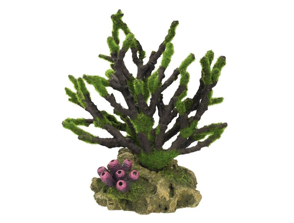 NOBBY Aqua Ornaments "Koralle mit Moos", 19 x 12 x 20,8 cm