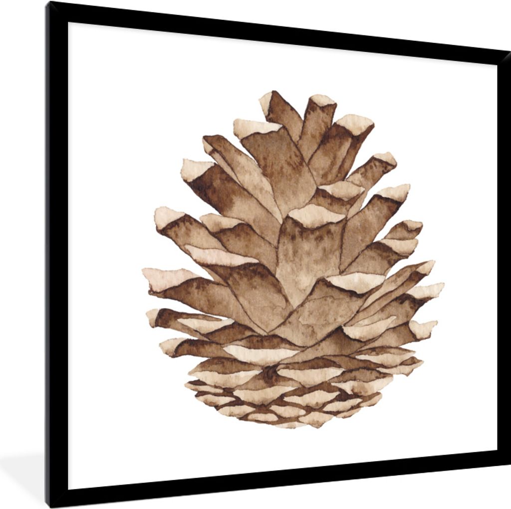 MuchoWow MuchoWow Gerahmtes Poster Aquarell - Tannenzapfen 40x40 cm - Poster mit zchwarzem Bilderrahmen - Mit Rahmen - Wanddekoration Schlafzimmer