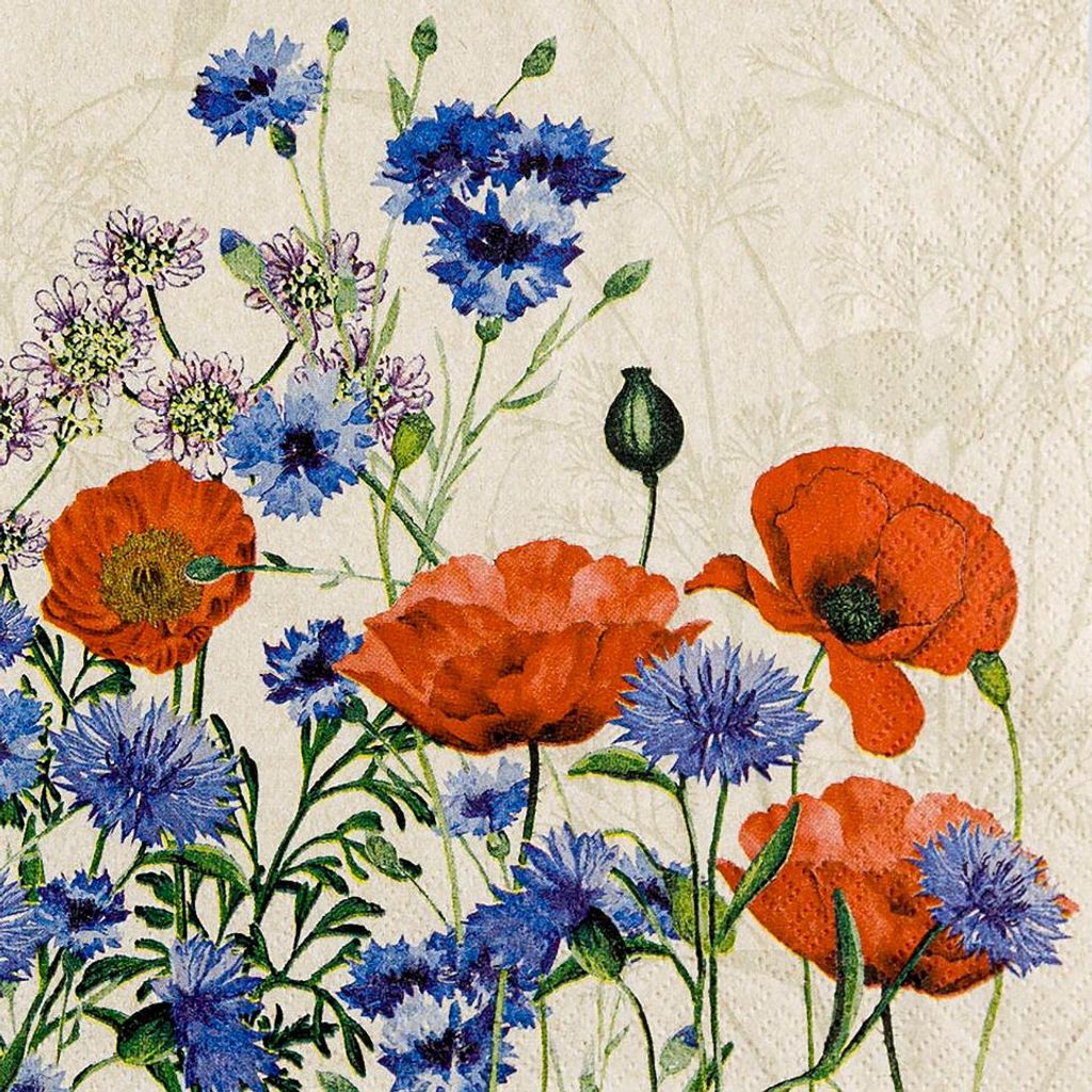 Motivserviette 33x33cm ECO HOME F. 242203