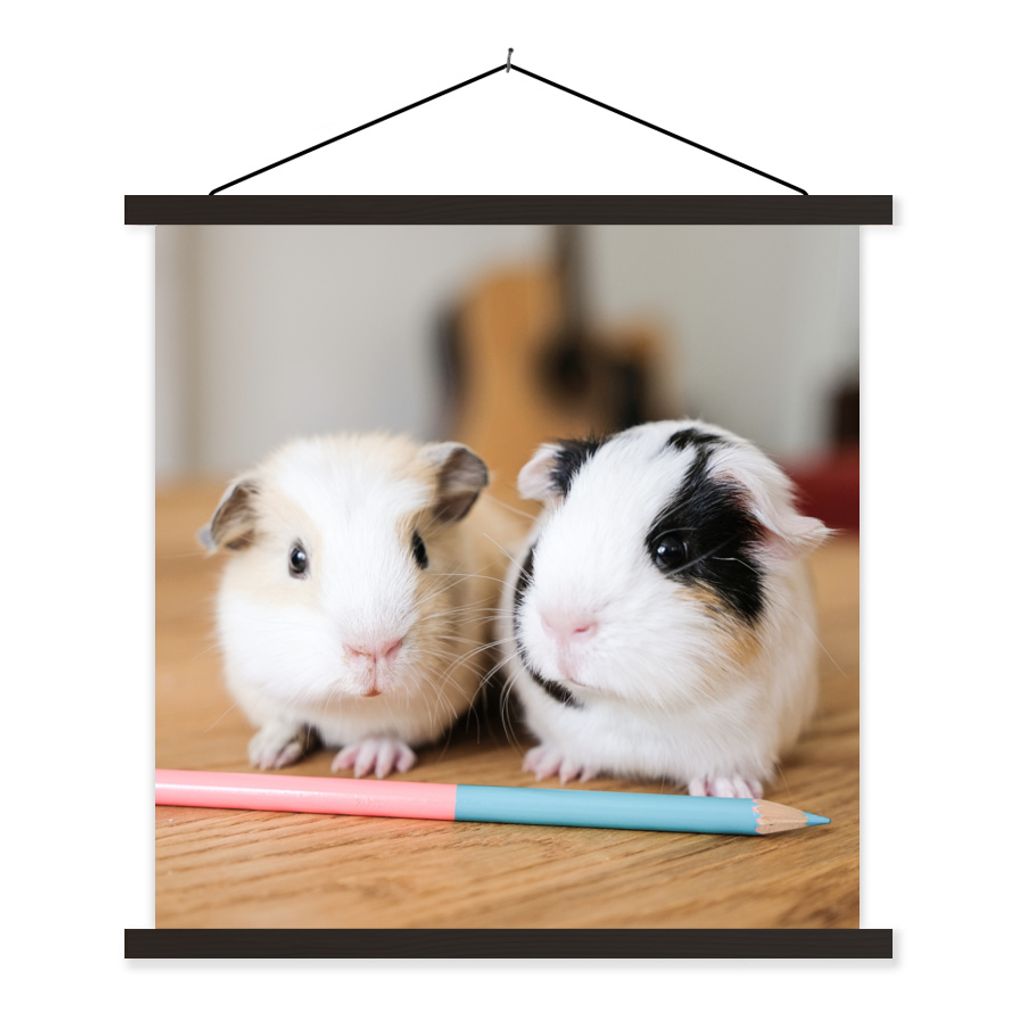 MuchoWow Textilposter Entzückende Baby-Meerschweinchen 60x60 cm mit schwarzem Rahmen - Posteraufhänger