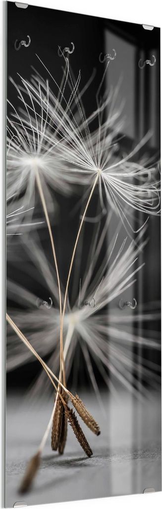 DEQORI Kleiderhaken aus Glas 50x125 cm 'Samen der Pusteblume' Wand Garderobe Paneel Haken