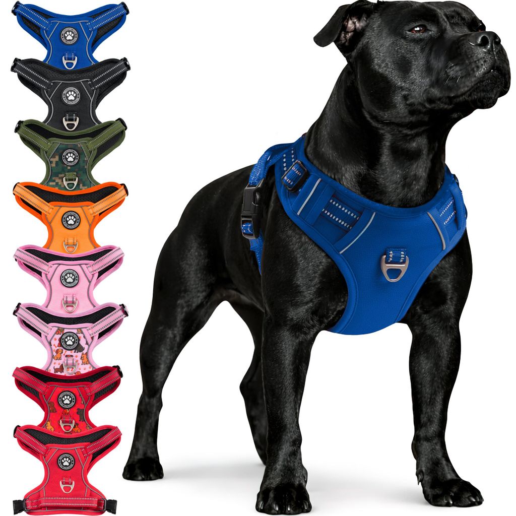 Reichstadt Hundegeschirr 25RSP083 Blue S