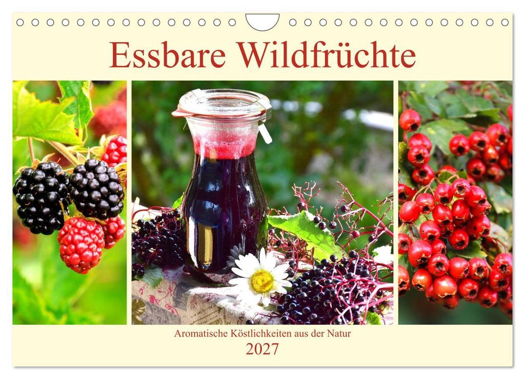 Essbare Wildfrüchte. Aromatische Köstlichkeiten aus der Natur (Wandkalender 2027 DIN A4 quer), CALVENDO Monatskalender
