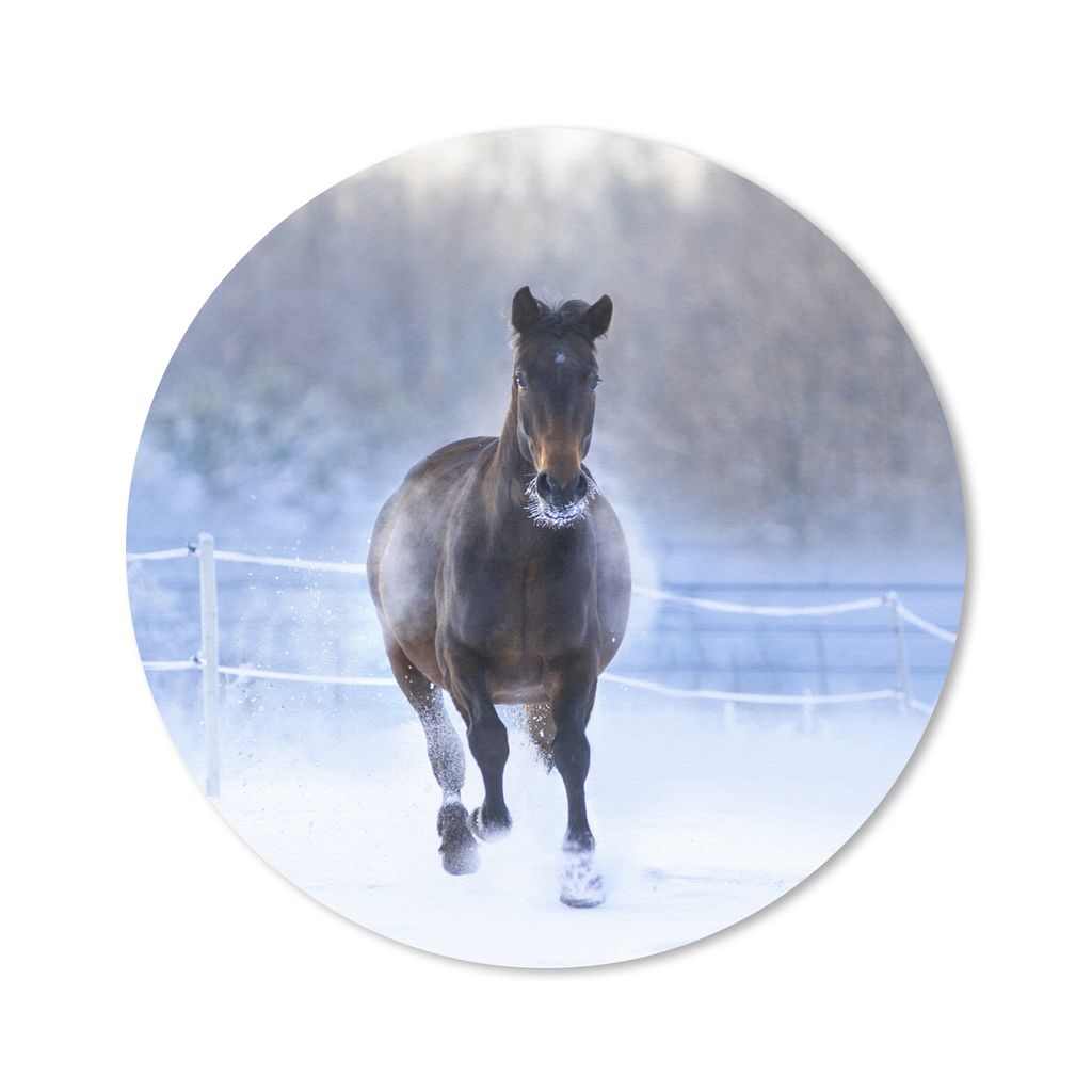 MuchoWow Mauspad Mousepad Pferd - Schnee - Winter - Zaun 30x30 cm - Mousepads - Maus Mat - Pad - Mausunterlage - Tischunterlage - Schreibtischmatten