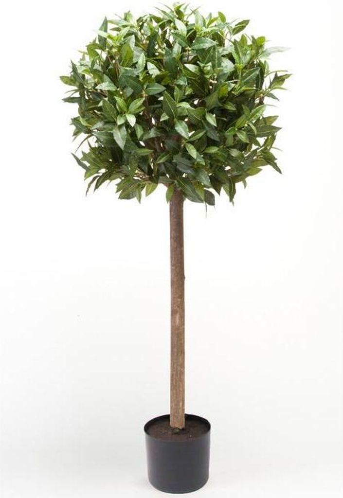artplants.de Kunstbaum Lorbeer Kugel DRODY, Echtstamm, Früchte, 90cm - Deko Lorbeerbaum - Kunststoff Lorbeer