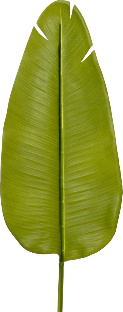 Künstliches Deko Blatt Bananenpflanze 20x100cm Kunststoff Produktbild 