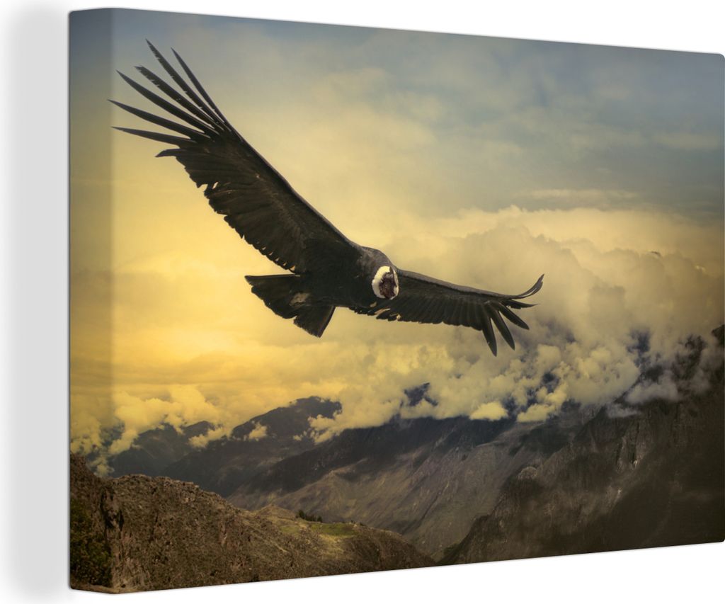 OneMillionCanvasses - Leinwandbilder - 140x90 cm, Andenkondor im Flug bei Sonnenaufgang, Wandbilder Kunstdruck Wanddekoration - Foto auf Leinwand...
