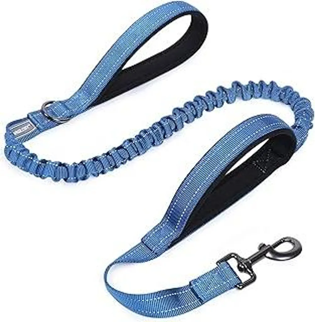 Guinzaglio Addestramento Cani VIVAGLORY 1.2m Anti-Strattone Blu Reale