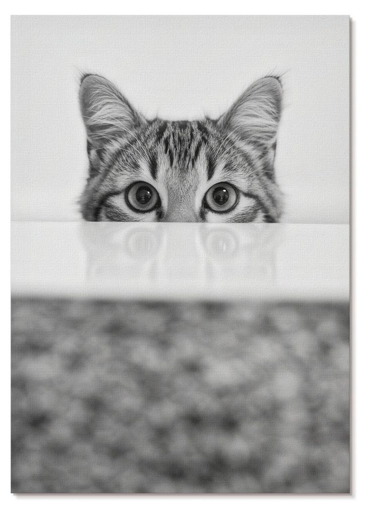 POSTER - 59x84 cm (A1) - Sage - Katze hinter der Oberfläche Schwarz-Weiß-Minimalismus - Wandbild für Wohnzimmer Schlafzimmer & Flur, Modernes Po...