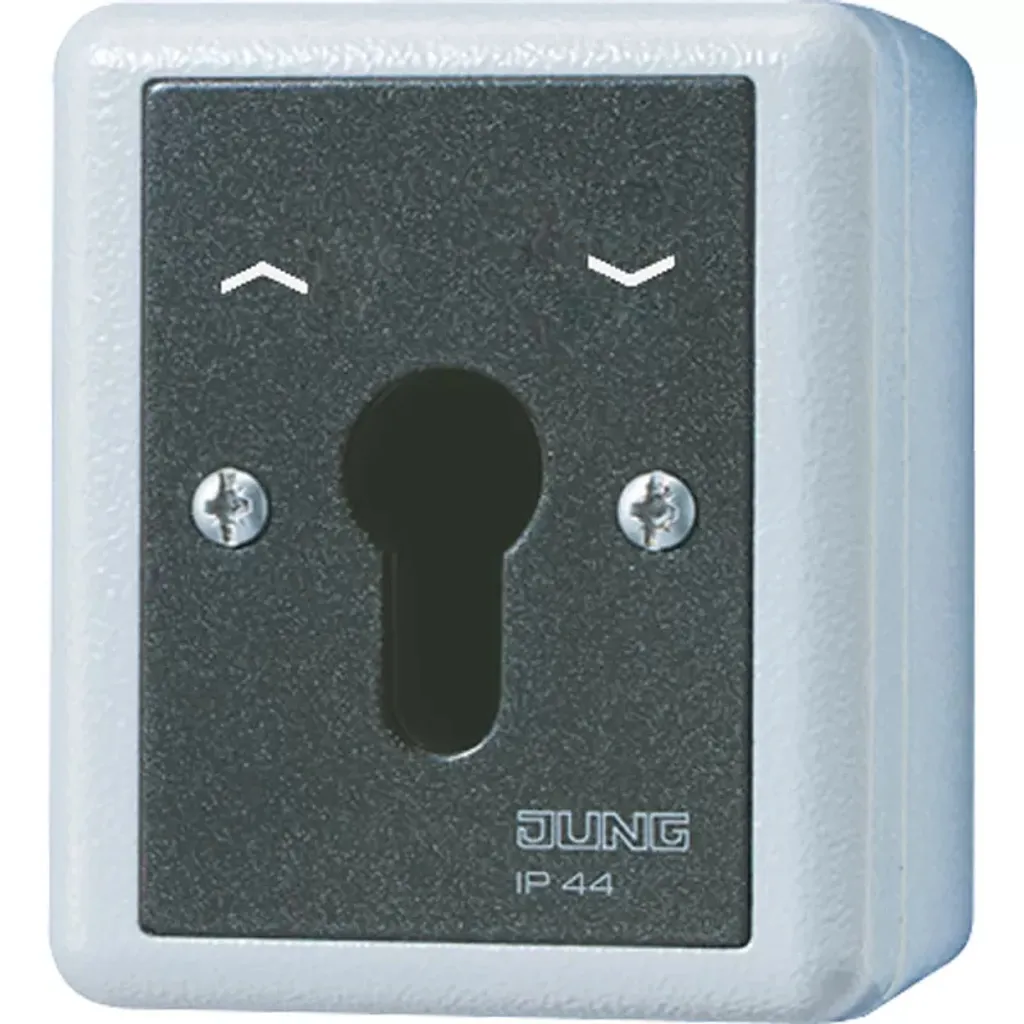 Jung interrupteur à clé 804.28 G encastrable pour cylindre profilé