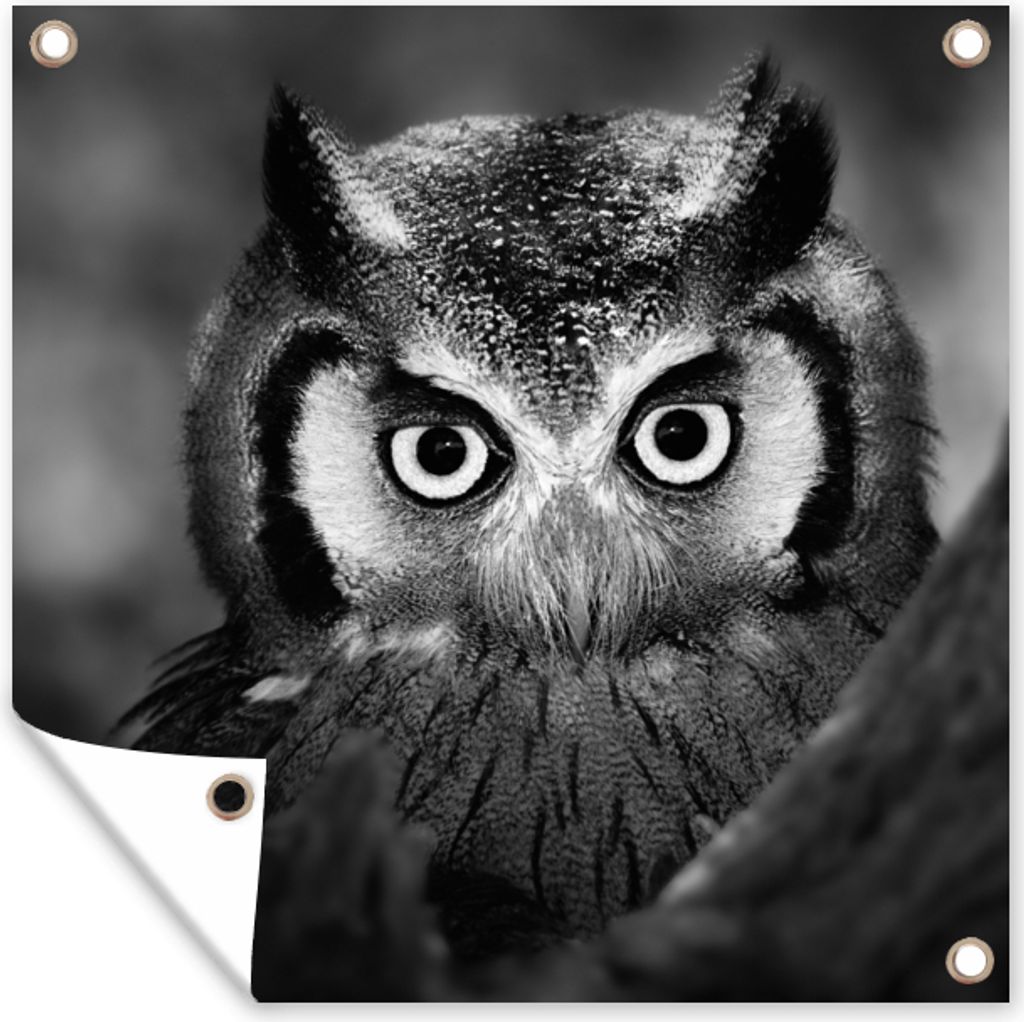 MuchoWow 50x50 cm Outdoor-Poster Gartendeko Sichtschutz Garten Poster für den Garten Vogel - Eule - Porträt - Schwarz - Weiß