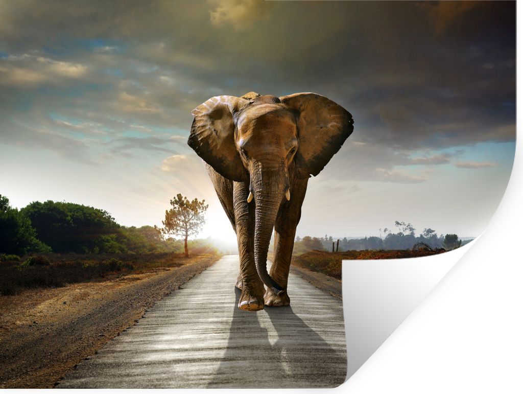 MuchoWow Wandtattoo Wandsticker Wandaufkleber Elefant - Straße - Tiere - Sonnenuntergang - Landschaft 80x60 cm Selbstklebend und Repositionierba...