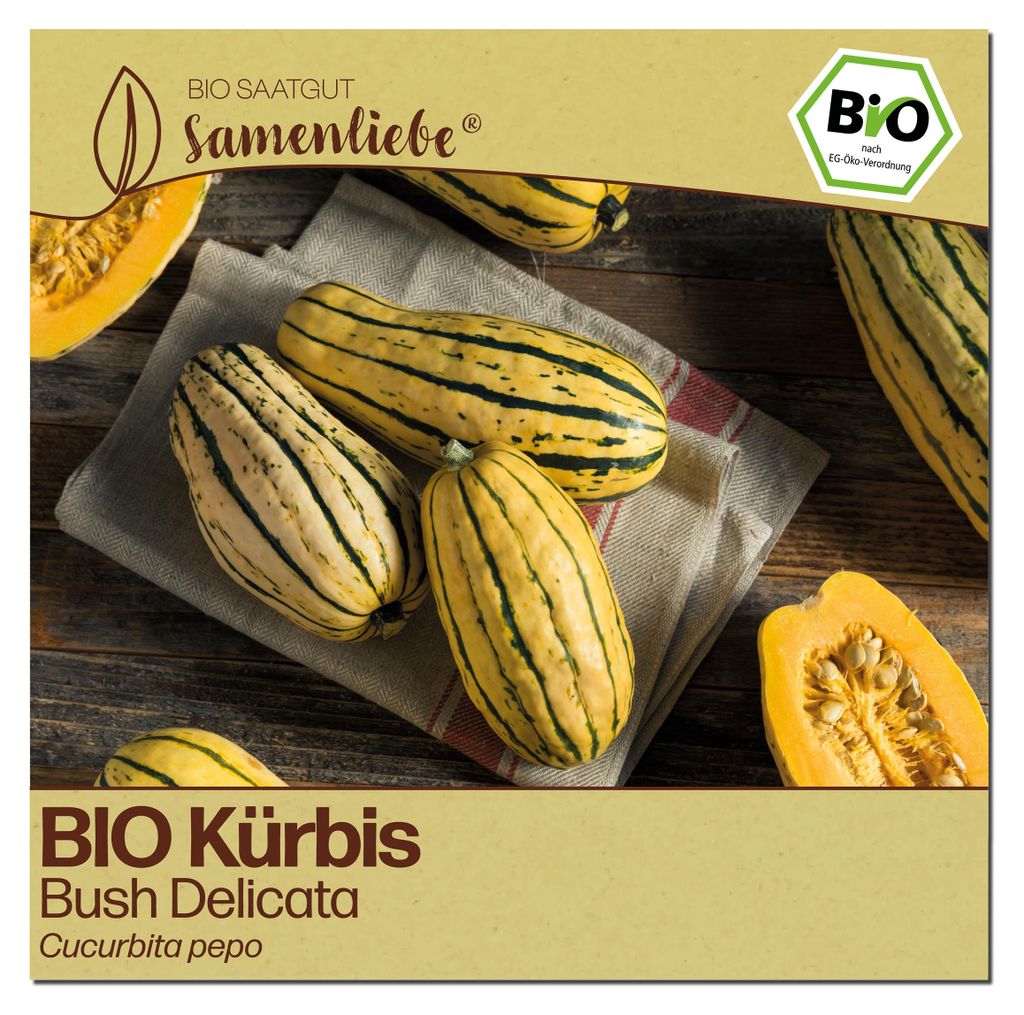 Samenliebe Kürbis Samen | Bush Delicata - samenfestes Saatgut